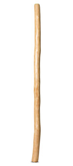 Natural Finish Didgeridoo (TW1349)